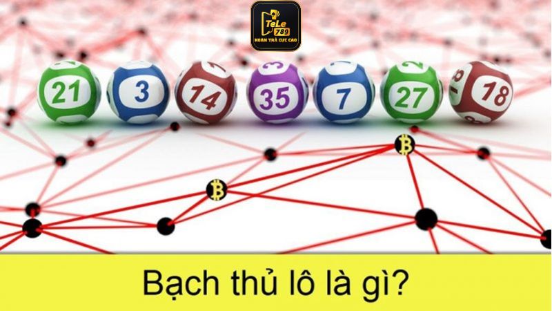 Bạch thủ lô là gì?